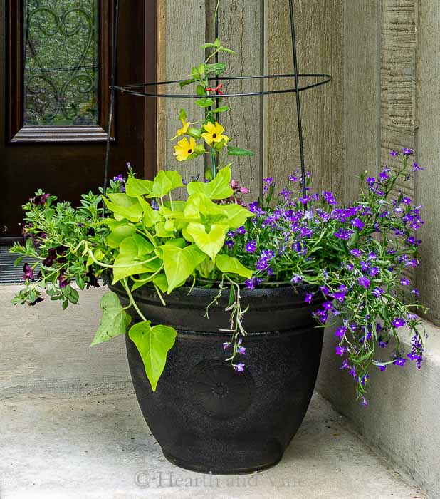 Flower pot trellis closeup