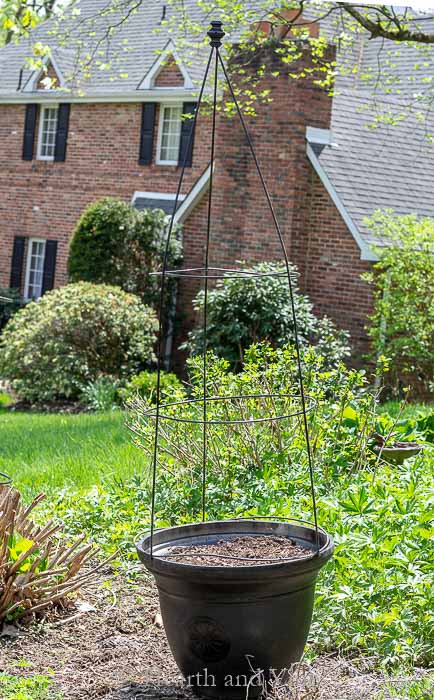 Flower pot trellis in garden