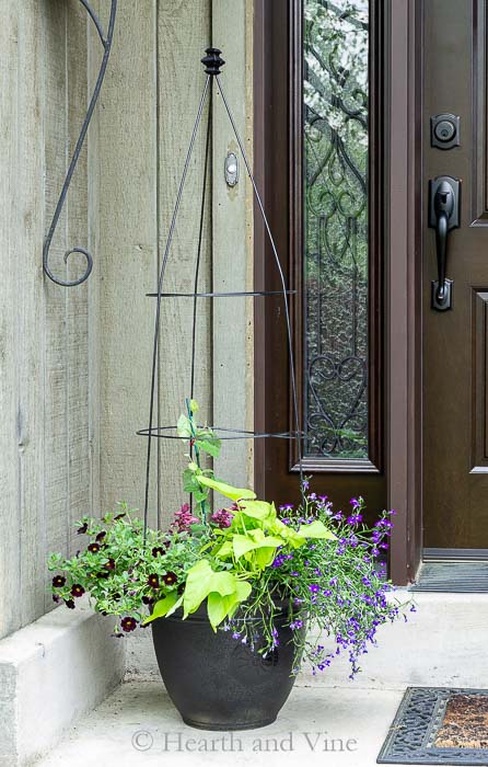 Flower pot trellis flanking door.