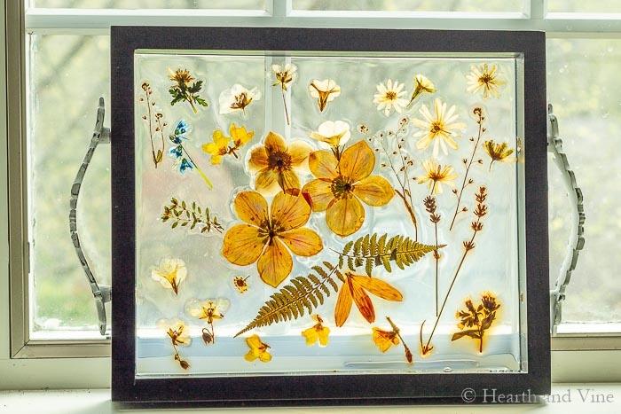 Pressed flower resin tray in window