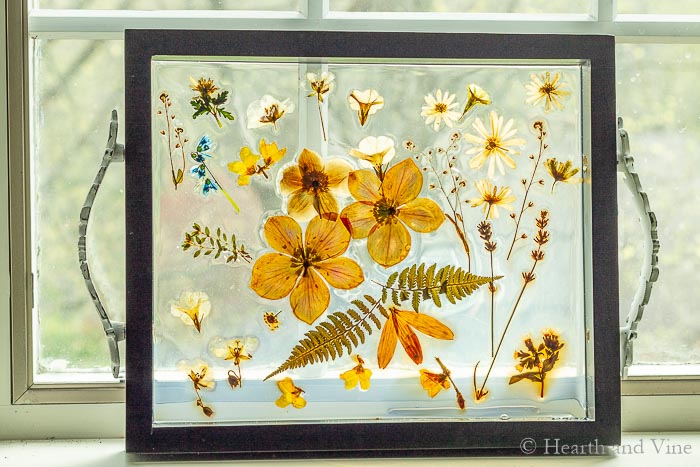 Dried Flowers in Resin: How to Preserve Them - Mod Podge Rocks