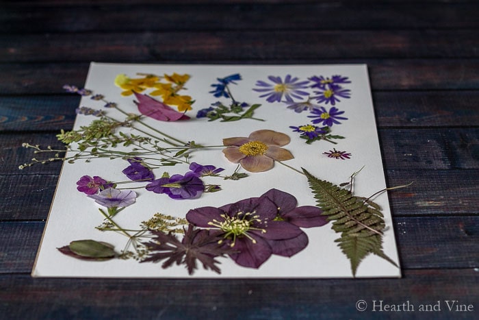 Dried Flowers in Resin: How to Preserve Them Story - Mod Podge Rocks