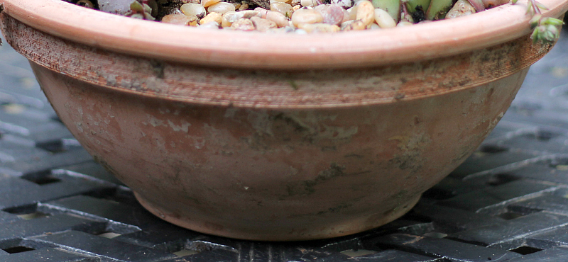 Side of distressed terra-cotta pot.