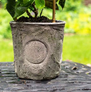 Grout decorated cheap flower pot