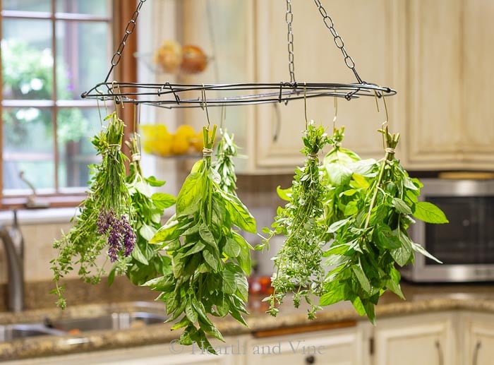 Herb Drying Rack Tutorial Using Basic Recycled Materials