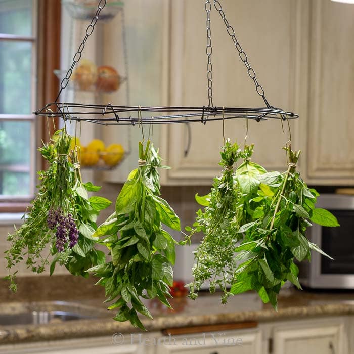 Hanging herb drying rack