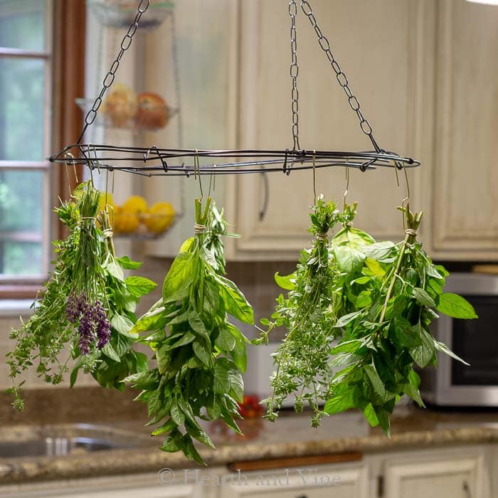 DIY Herb Drying Rack - Seams Like a Story