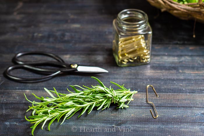 Rosemary bundle, scissors and a jar with large gold paperclips