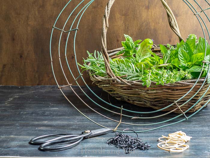 Herb drying rack supplies, fresh cut herbs, wire wreath frame, chains, rubber bands and paper clips.