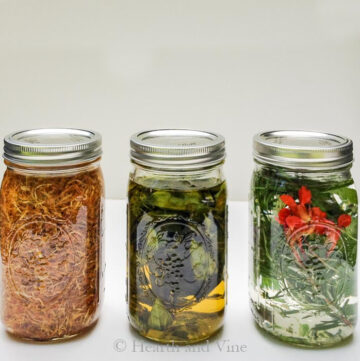 Three mason jar herbal infusions. One calendula oil, one basil oil and one herbal vinegar.
