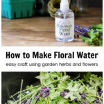 Lavender and mint next to a spray bottle of floral water