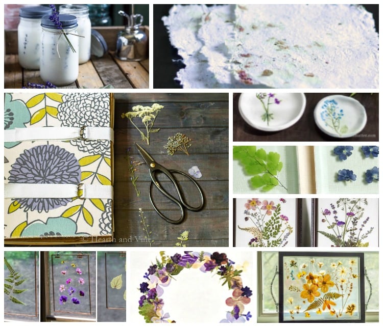 DIY Flower Press: Make Pressed Flowers for Art Projects! - Gluesticks Blog