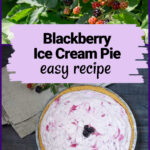 Wild blackberries over a wild blackberry ice cream pie.