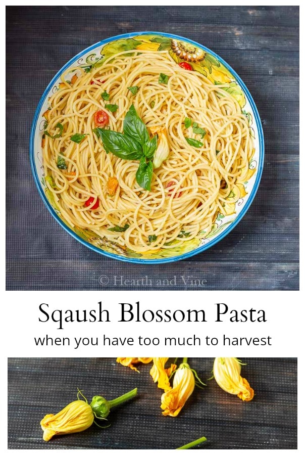Squash blossom pasta recipe