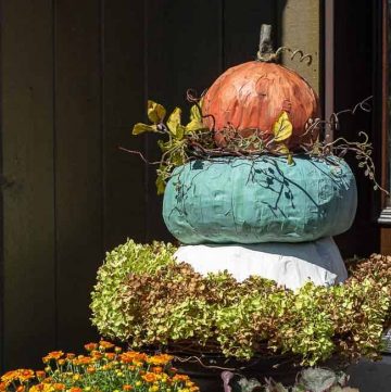 Decorated pumpkin topiary