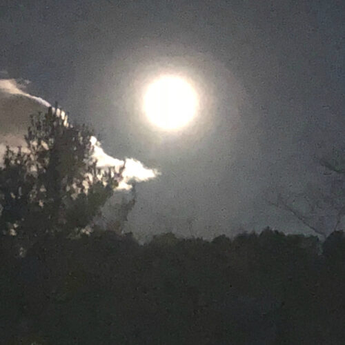 Full moon in sky