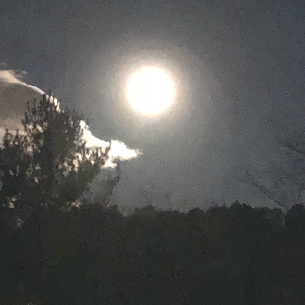 Full moon in sky