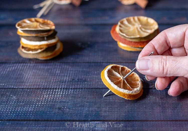 Embroidery needle in lemon slice.