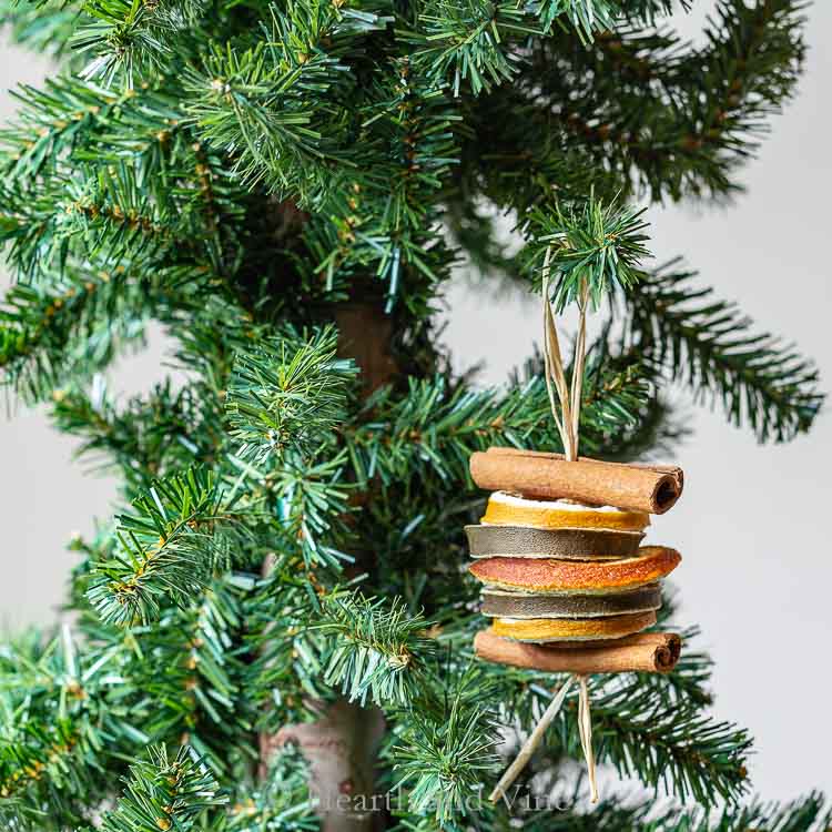 Dried fruit ornament on tree