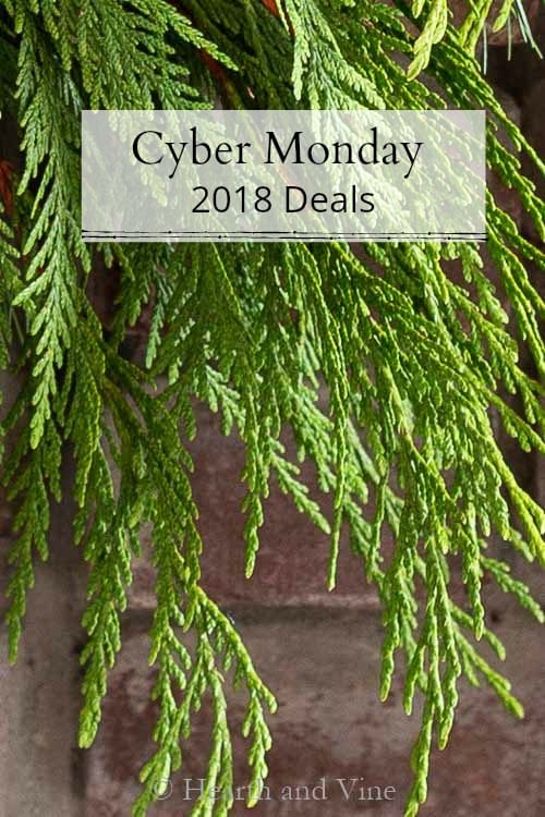 Cyber Monday 2018 deal image tall