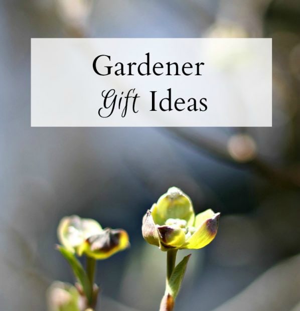 Gardeners gift guide