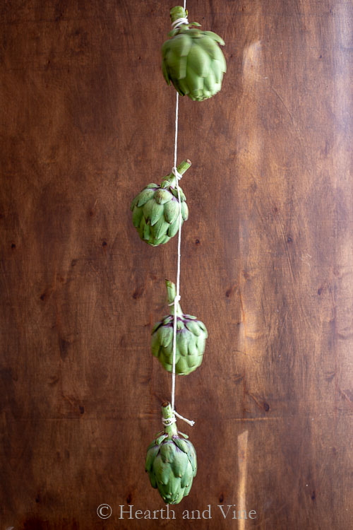 Hanging fresh artichokes