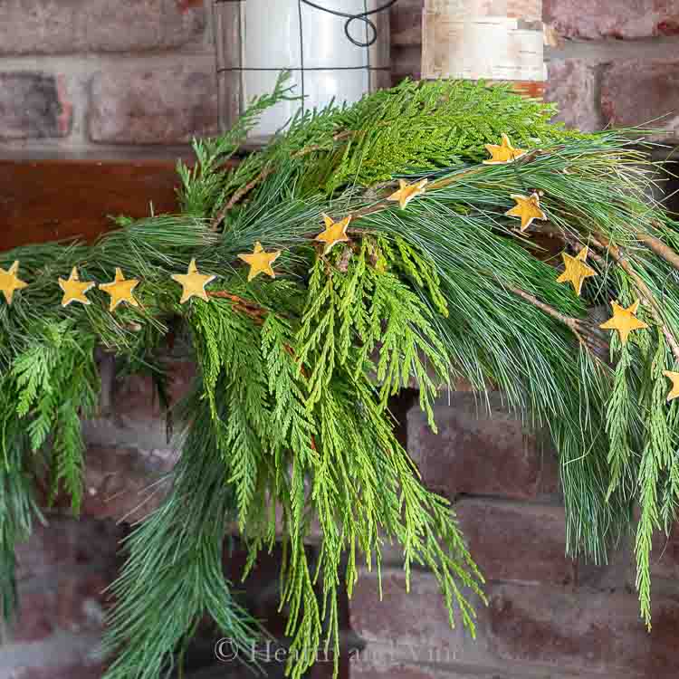 Lemon peel star garland on cedar