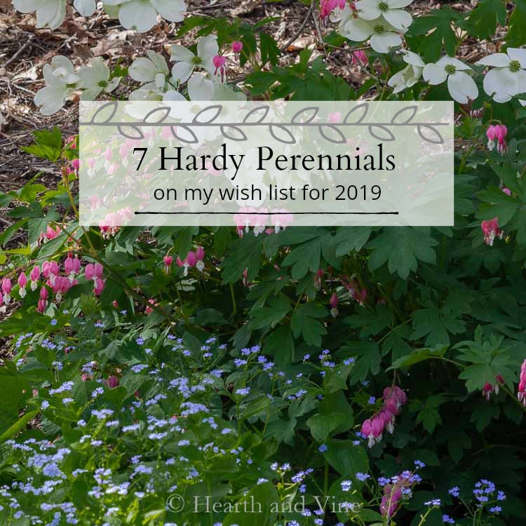 Spring garden picture with 7 hardy perennials caption