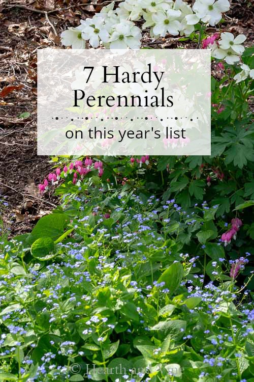 Spring garden background for hardy perennial list post