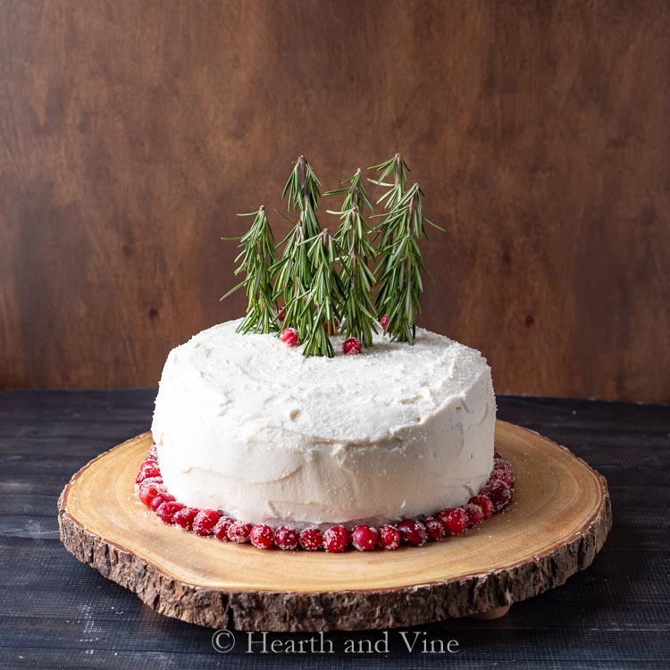 A white 2 layer cake with a ring of sugared cranberries on the bottom. The top has several 5 inch stems of rosemary to look like a forest.