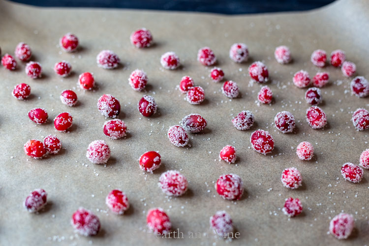sugared cranberries on parchment
