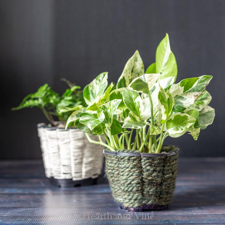 Woven planters from nursery pots holding houseplants