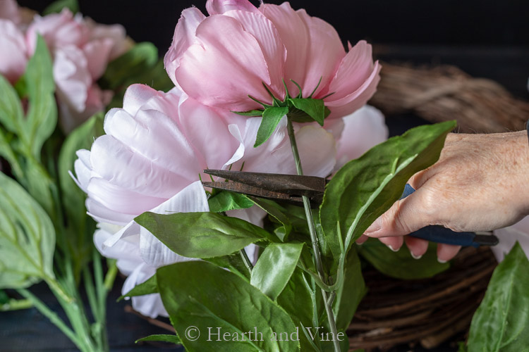 Cutting blooms off stems