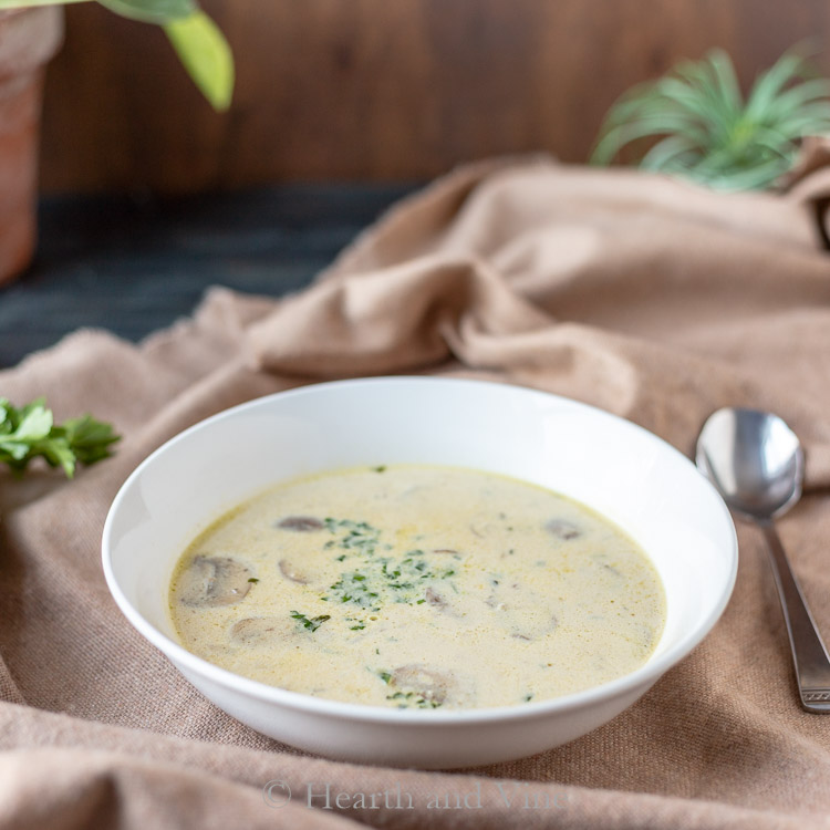 bowl of cream of mushroom soup