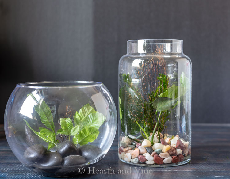 Glass containers with rocks and plants