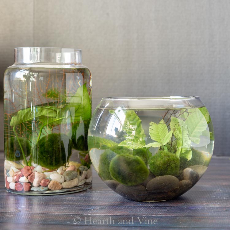 How To Make An Indoor Water Garden Hearth And Vine
