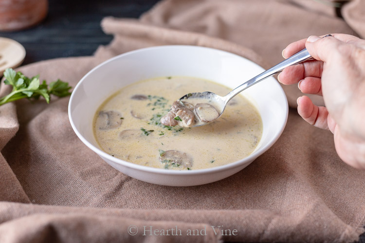 Spoonful of cream of mushroom soup