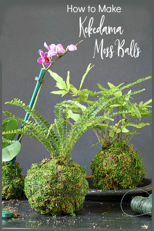 Kokedama: How to Create a Moss Ball String Garden | Hearth and Vine