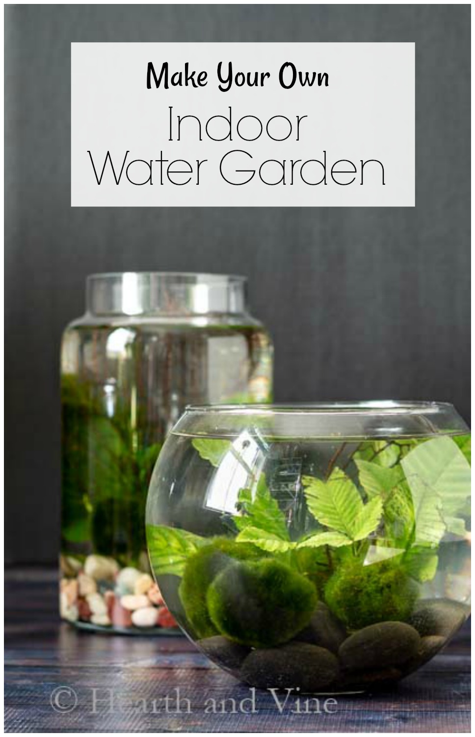 two desktop water gardens