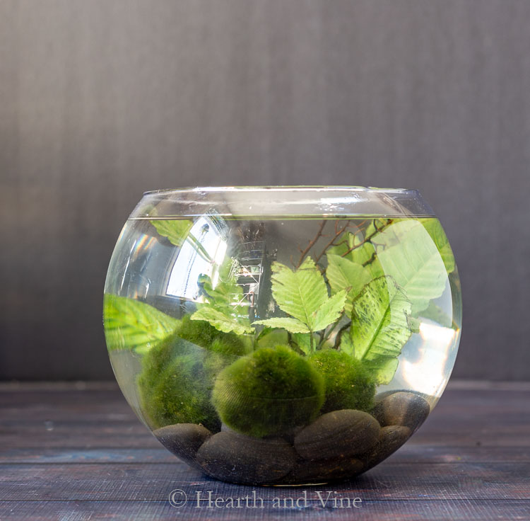 Round indoor water garden