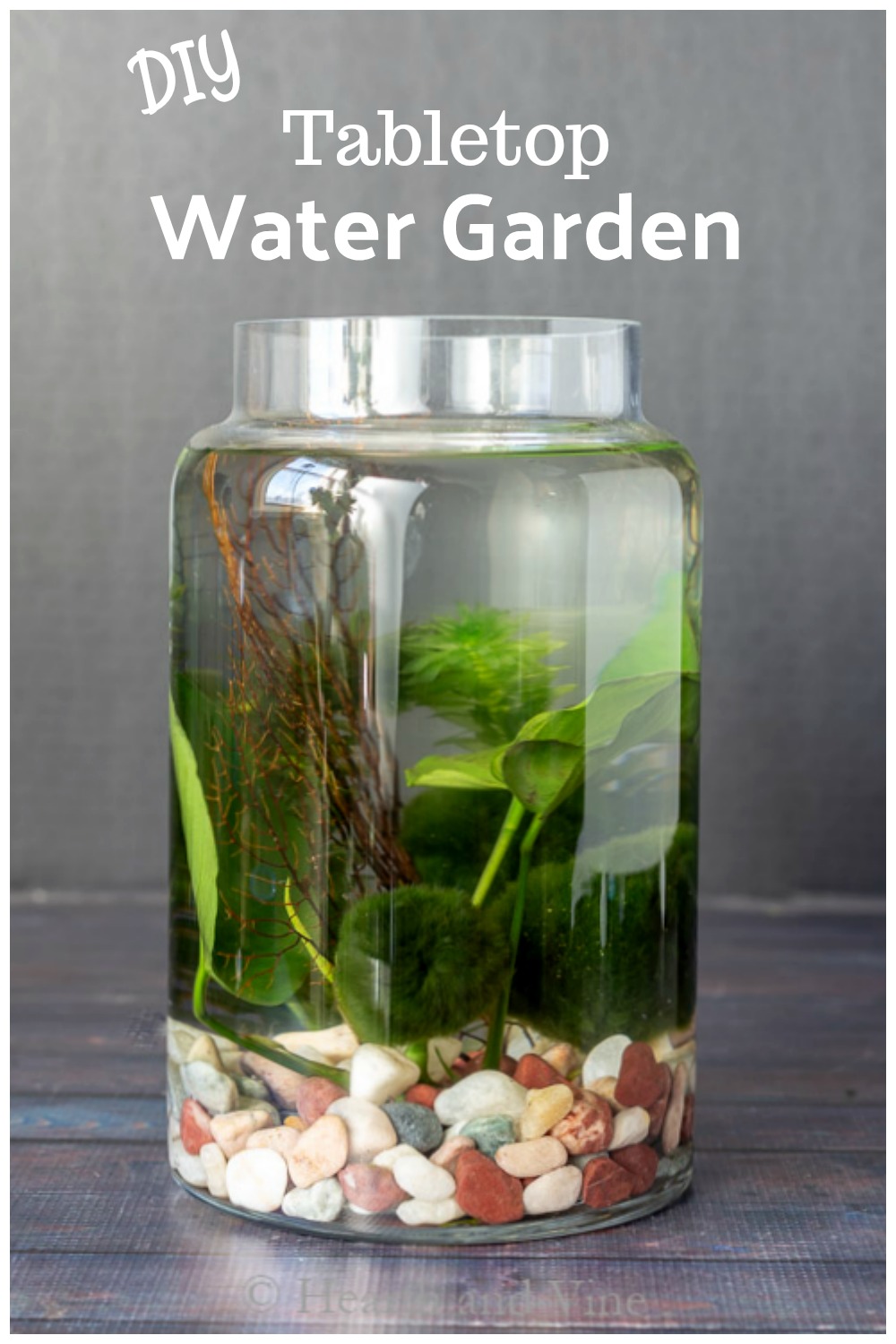 How to Make an Indoor Water Garden Hearth and Vine