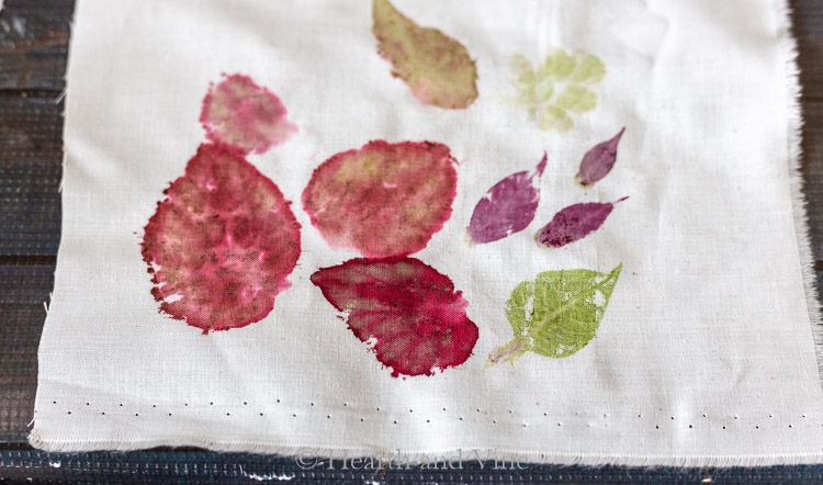 Leaf prints from pounding onto fabric.