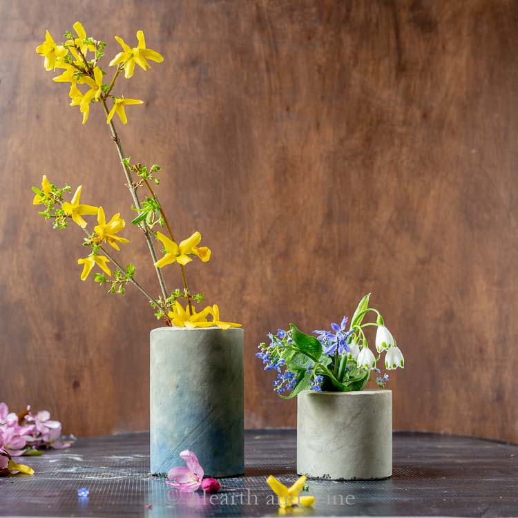 Concrete vases with forstythia branch and flowers