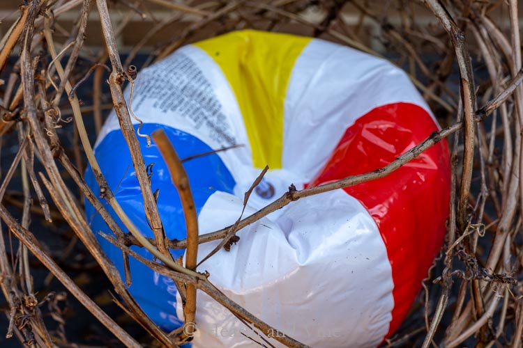 grapevine sphere with deflated beach ball in center.