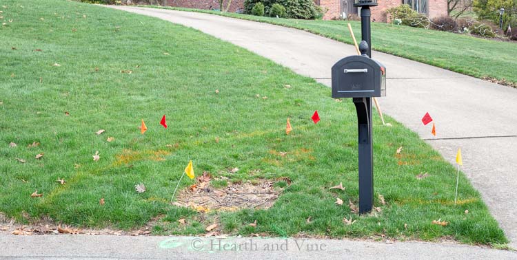 Mark area around mailbox for garden