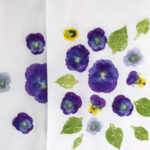 Pansies and leaves pounded onto tea towels.