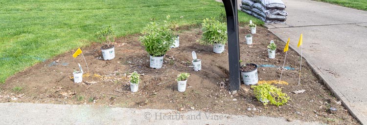 Plants in pots laid out on new bed