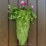Cone shaped moss hanging planter
