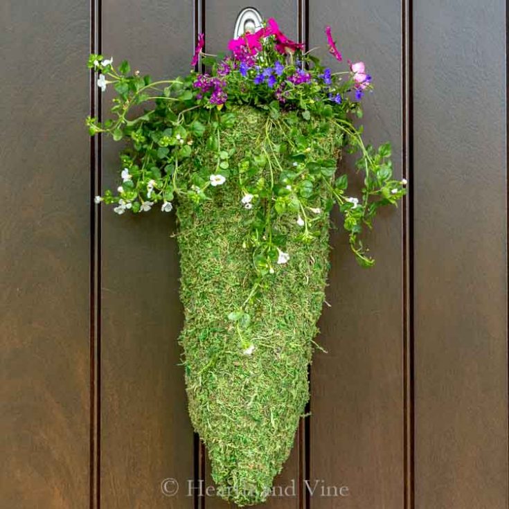 DIY Hanging Planter Made with Chicken Wire and Moss Hearth and Vine