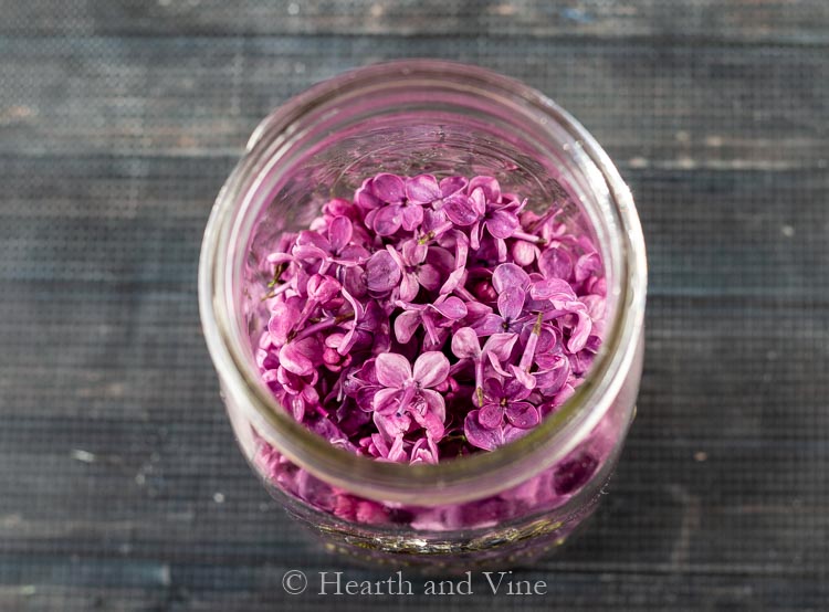 Lilac flowers in jar